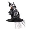 Heksenhoed Luxe Met Heks, Kind