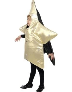 Kerstster Kostuum, Goud -Vakantie Kledingwinkel kerstster kostuum goud 3