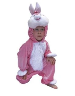 Kostuum Pluche Konijn