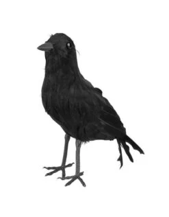 Kraai (23x10cm) -Vakantie Kledingwinkel kraai 23x10cm 2