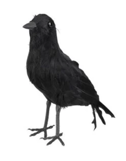 Kraai (23x10cm)