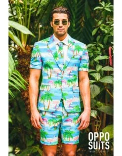 Flaminguy Summer Suit