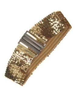 Riem Elastisch Pailletten Goud