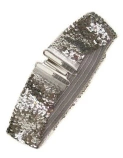 Riem Elastisch Pailletten Zilver