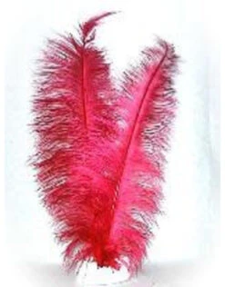 Spadonis Veren Rood (Piet Veren) ± 50cm