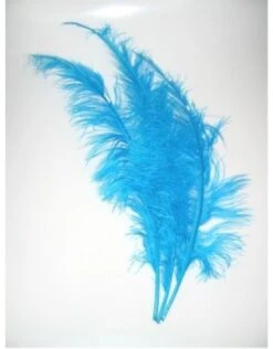 Spadonis Veren Turquoise (Piet Veren) ± 50cm