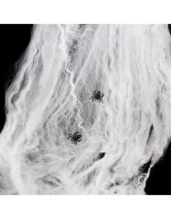 Spinnenweb Met 4 Spinnen