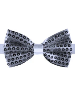 Strikje Pailletten, Zilver