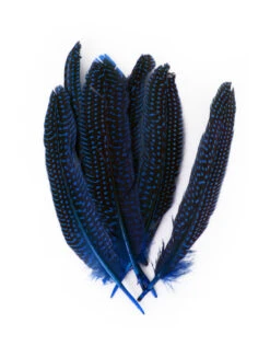 Veren Parelhoen 15/20 Cm Blauw (10 Stuks)