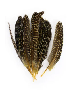 Veren Parelhoen 15/20 Cm Geel (10 Stuks)