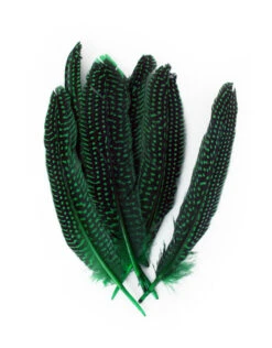 Veren Parelhoen 15/20 Cm Groen (10 Stuks)