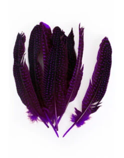 Veren Parelhoen 15/20 Cm Paars (10 Stuks)