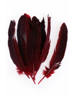 Veren Parelhoen 15/20 Cm Rood (10 Stuks)