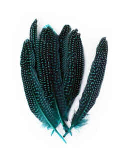 Veren Parelhoen 15/20 Cm Turquoise (10 Stuks)