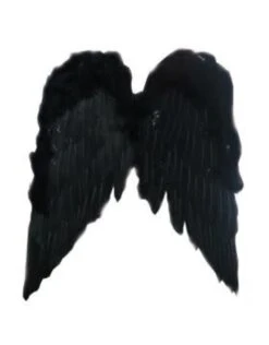 Vleugels Engel Zwart - 50cm
