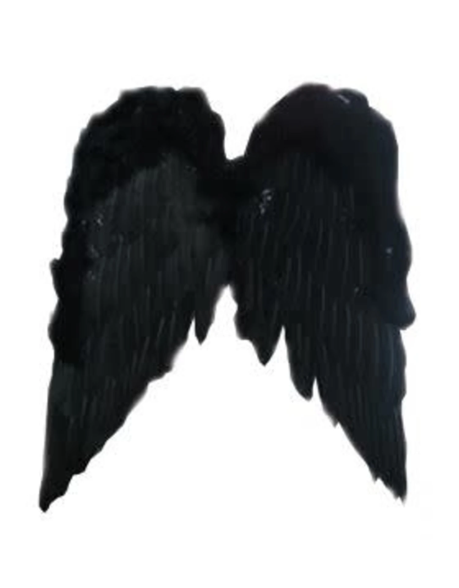 Vleugels Engel Zwart - 50cm 1 Vleugels Engel Zwart - 50cm